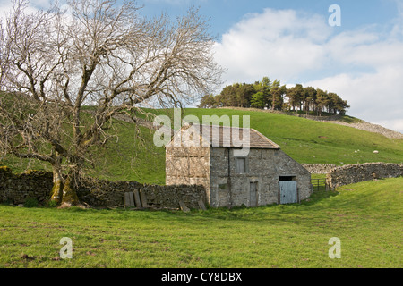 Farm barn and Kirkcarrion woodland in the Pennines. Middleton-in-Teesdale. County Durham, England Stock Photo