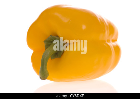 Yellow bell pepper photographed on a white back ground Stock Photo