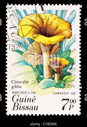 Postage stamp from Guinea-Bissua depicting a common funnel mushroom (Clitocybe gibba) Stock Photo