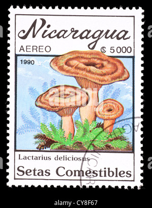 Postage stamp from Nicaragua depicting mushrooms (Lactarius deliciosus) Stock Photo