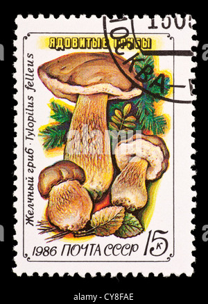 Postage stamp from the Soviet Union (USSR) depicting mushrooms (Tylopilus felleus) Stock Photo