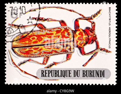 Postage stamp from Burundi depicting a longhorn beetle (Brachytritus hieroglyphicus) Stock Photo