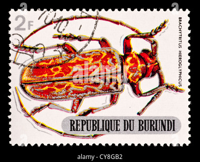 Postage stamp from Burundi depicting a longhorn beetle (Brachytritus hieroglyphicus) Stock Photo