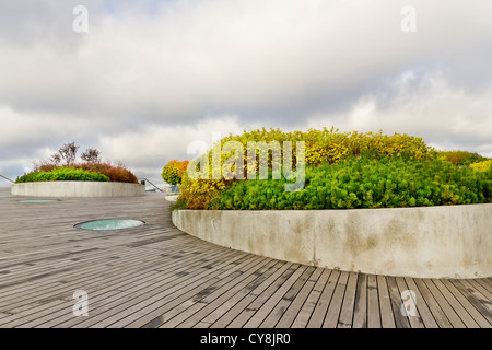 Stormy rainy sky above an autumn garden. The garden is located on the roof of a skyscraper. Selective focus Stock Photo