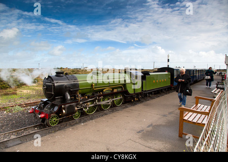 Romney Hythe and Dymchurch Railway; Train; Dungeness Station; Kent; UK Stock Photo