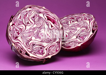 Purple cabbage on a violet background. Stock Photo