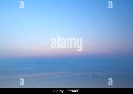 Misty Dawn near Osea Island Stock Photo