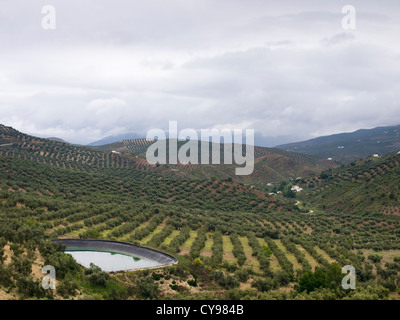 A rainy day driving on the roads in the Andalusian hills, olive groves and small water reservoir Stock Photo