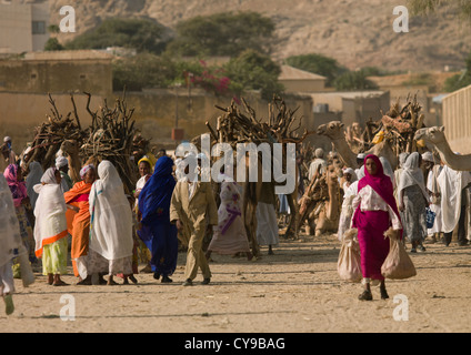 Monday Camel Market In Keren, Eritrea Stock Photo
