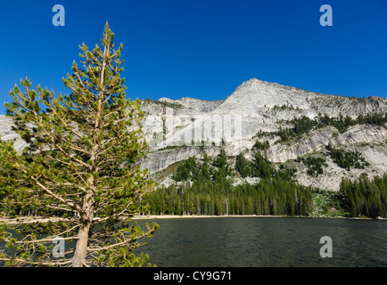 Tioga Pass from Lee Vining Yosemite, Route 120 - Tenaya Lake. From highway 120 Great Sierra Wagon Road, towards Tressider Peak. Stock Photo
