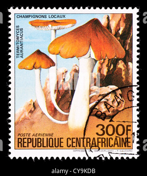 Postage stamp from the Central African Republic depicting mushrooms. Stock Photo