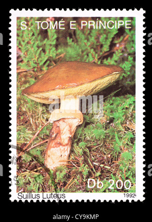 Postage stamp from Saint Thomas and Prince Islands depicting a Slippery Jack  mushroom (Suillus luteus) Stock Photo