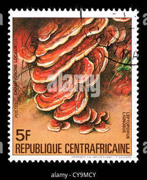 Postage stamp from the Central African Republic depicting mushrooms Stock Photo
