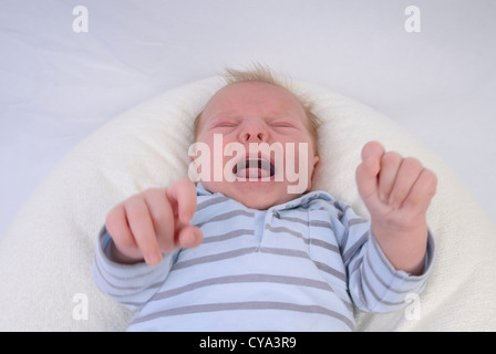 Young baby boy 6 weeks old crying, France Stock Photo