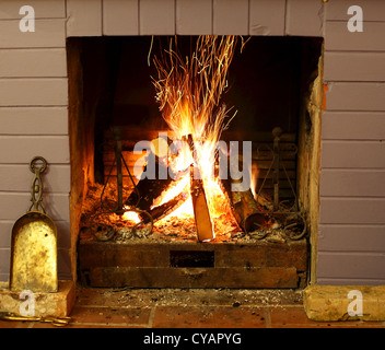 Open fireplace burning wood. Stock Photo