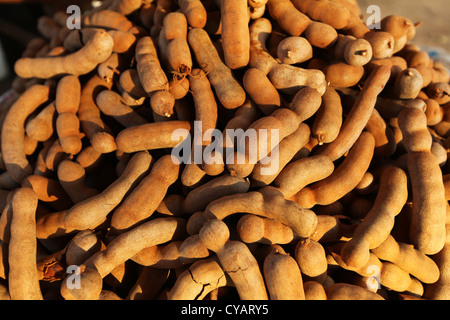 Tamarind fruit pods pile at the food market stall in Asia Stock Photo