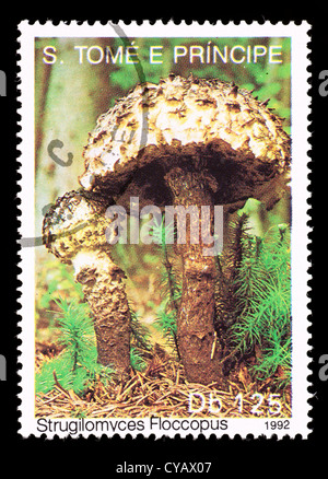 Postage stamp from Saint Thomas and Prince depicting a mushroom Stock Photo