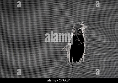 Window screen torn with a big hole against a black background. Stock Photo