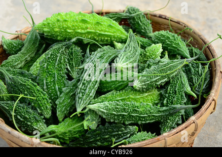 Bitter gourd in the basket. Stock Photo