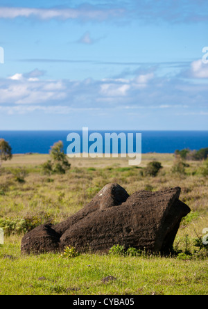 Moai Head Lying On The Ground In Rano Raraku, Easter Island, Chile Stock Photo