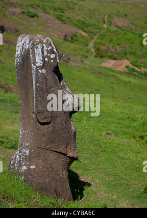 Moai In Rano Raraku, Easter Island, Chile Stock Photo