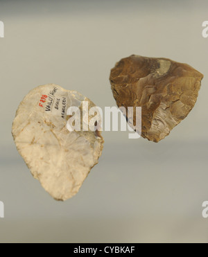 Stone tools including chopping tools, hand-axes, picks and spheroids, from  the Acheulean industry. Acheulean refers to an archaeological industry of  stone tool manufacture characterized by distinctive oval and pear-shaped  'hand-axes' associated with