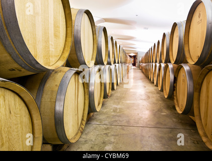 Rows of wine barrels in wine cellar. Stock Photo