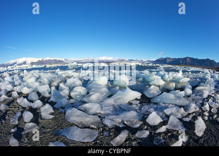 Icebergs on a glacial lake at Jokulsarlon with snow on the massive icecap of Vatnajokull behind, Iceland Stock Photo