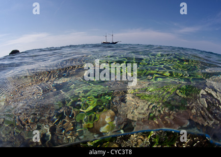 A plethora of reef-building corals compete for space to grow and sunlight on a shallow reef flat while a ship lies at anchor. Stock Photo