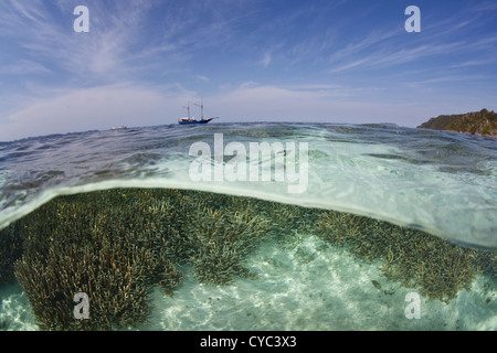 An Indonesian Pinisi schooner dive liveaboard sits at anchor just off a shallow coral reef in the western Pacific. Stock Photo