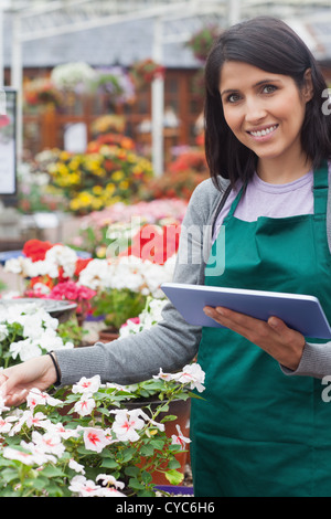 Smiling worker checking flowers in garden center Stock Photo