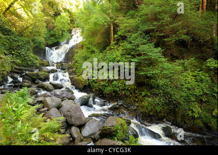 Torc Waterfall, Killarney National Park, County Kerry, Ireland Stock Photo