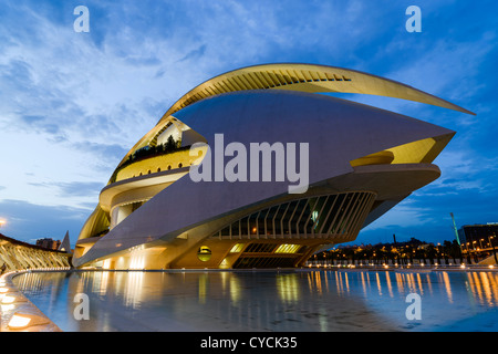 Palace of Arts Reina Sofia, The City of Arts and Science, designed by Santiago Calatrava,Valencia,Spain Stock Photo