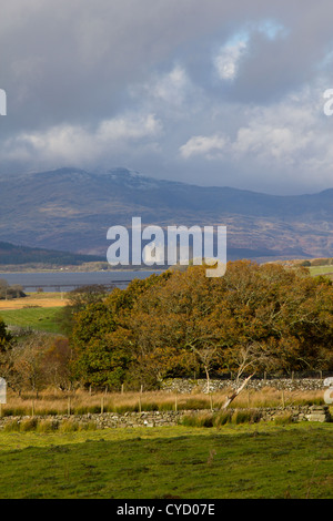 The Magnox nuclear power station at Trawsfynydd in north Wales, which is undergoing a long period of decommissioning Stock Photo
