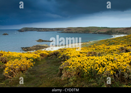 St Martin's; looking towards Daymark from Turfy Hill; Isles of Scilly; UK Stock Photo