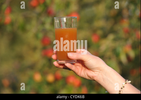 Freshly pressed Apple juice Stock Photo