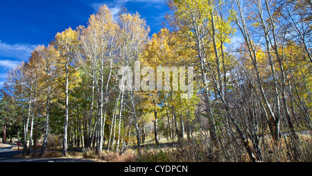 Rocky Mountain National Park in the Fall. Colorado Stock Photo
