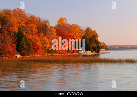 Reedbeds on Lake Mindemoya at sunrise, Manitoulin Is. Mindemoya ...