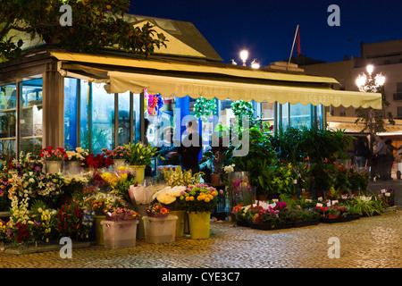 Spain, Andalucia Region, Cadiz Province, Cadiz, Plaza de Topete, evening Stock Photo