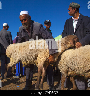 Uyghur Men Checking Cattle In Kashgar Animal Market, Xinjiang Uyghur Autonomous Region, China Stock Photo