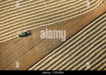The Netherlands, Donderen, Combine harvester harvesting wheat field. Aerial. Stock Photo