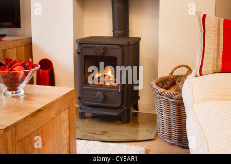 Cozy modern interior living room with wood burner Stock Photo