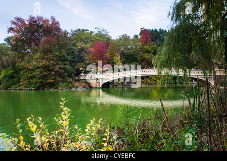 Autumn colors of trees decorate the Bow Bridge in Central Park in New York City. The Bow Bridge is one of the most famous and popular bridges in the park, often seen on movies and TV shows. The picture was taken two days before Hurricane Sandy hit the New York City area. Stock Photo