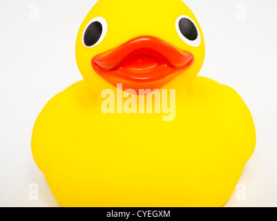 Yellow Rubber Ducky bath toy Stock Photo