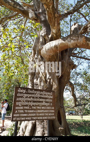 Tree on the Killing Fields in Choeung Ek near Phnom Penh, Cambodia Stock Photo