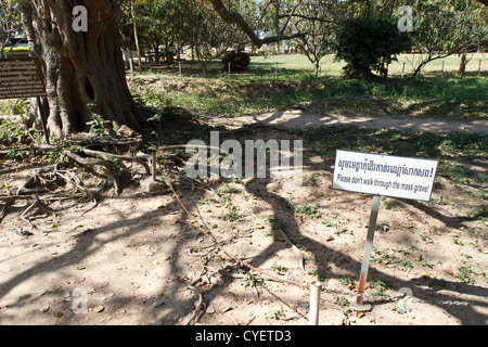 Mass Grave on the Killing Fields in Choeung Ek near Phnom Penh, Cambodia Stock Photo