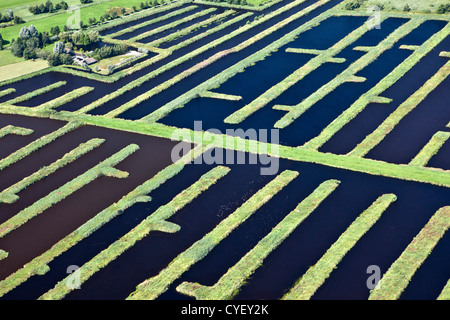 The Netherlands, Spanga, Landscape of water and small strips of land as a result of digging peat. Aerial. Stock Photo