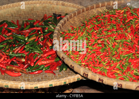 Chilli peppers at the Central Market, Julan Tun Fuad Stephens, Kota Kinabalu, Sabah, Borneo, Malaysia, Southeast Asia Stock Photo