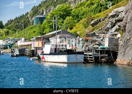 St. John's, Newfoundland and Labrador നഗരത്തിൽ Fishing