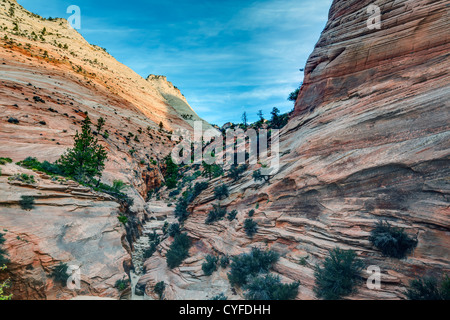 Zion National Park is located in the Southwestern United States, near Springdale, Utah Stock Photo